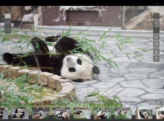 viewer03.png viewer03.png