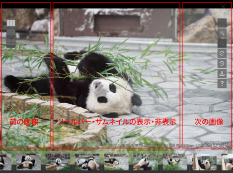 画像表示エリア（パンダ）