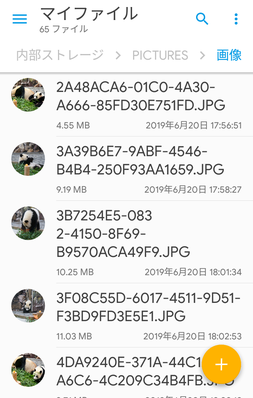 手元の端末のファイルが表示される